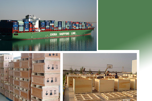 ����늰����b